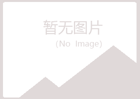 白银平川冰夏化学有限公司